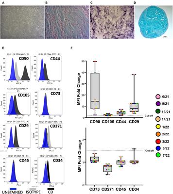 In vitro aging alters the gene expression and secretome composition of canine adipose-derived mesenchymal stem cells
